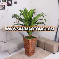 Hot sale artificial decorative tree house plants