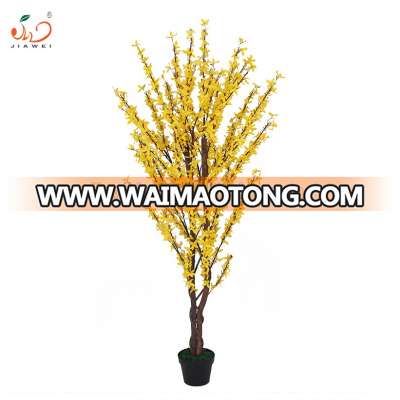 2019 new design beautiful yellow forsythia flower tree indoor pot