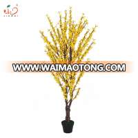 2019 new design beautiful yellow forsythia flower tree indoor pot