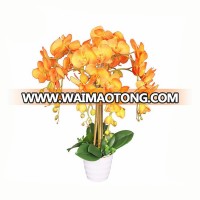 Hot sale home decoration real touch beautiful orange color artificial orchid flower