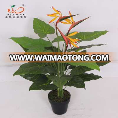 Yiwu factory table artificial paradise birds plants plastic flower bonsai indoor