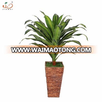 cheap artificial dracaena fragrans plants